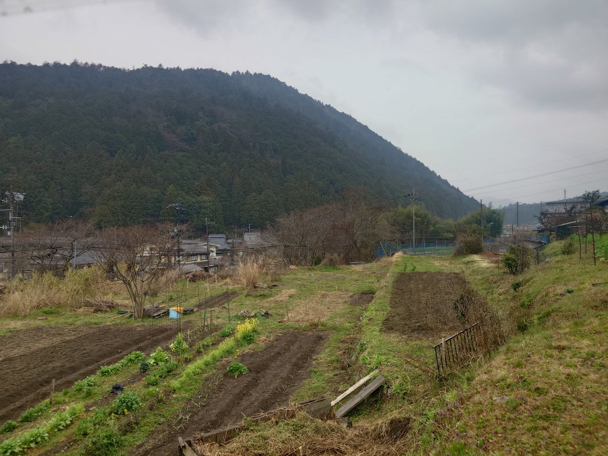 天さん tweet media