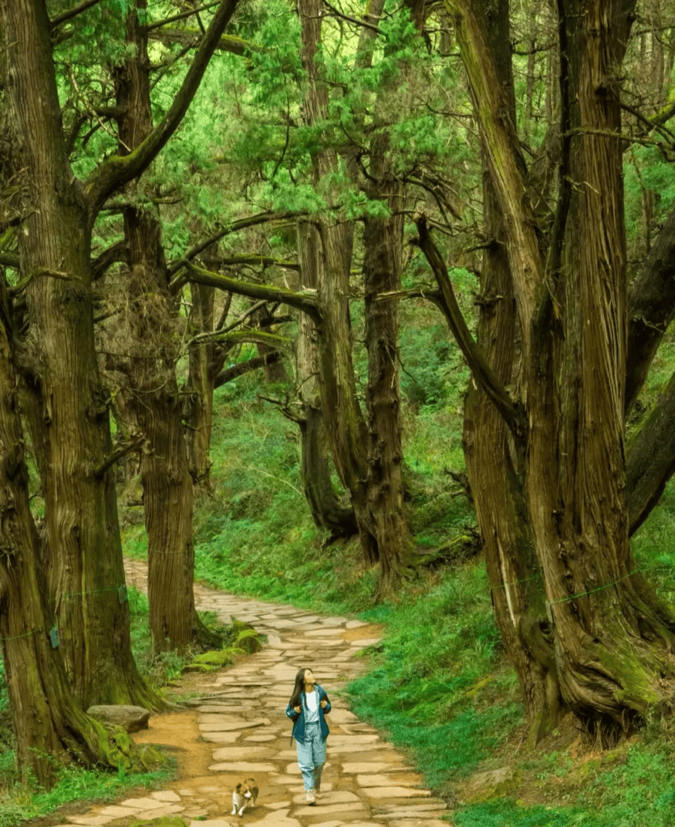 Kamylla Drummond Guerra tweet media