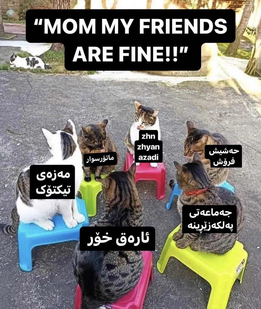 slaweki garm tweet media