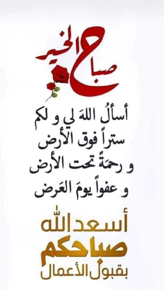 smail mizi tweet media