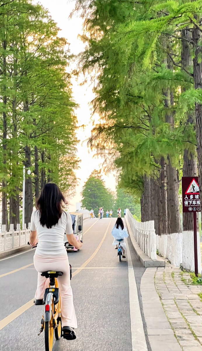 Jen Tierney tweet media