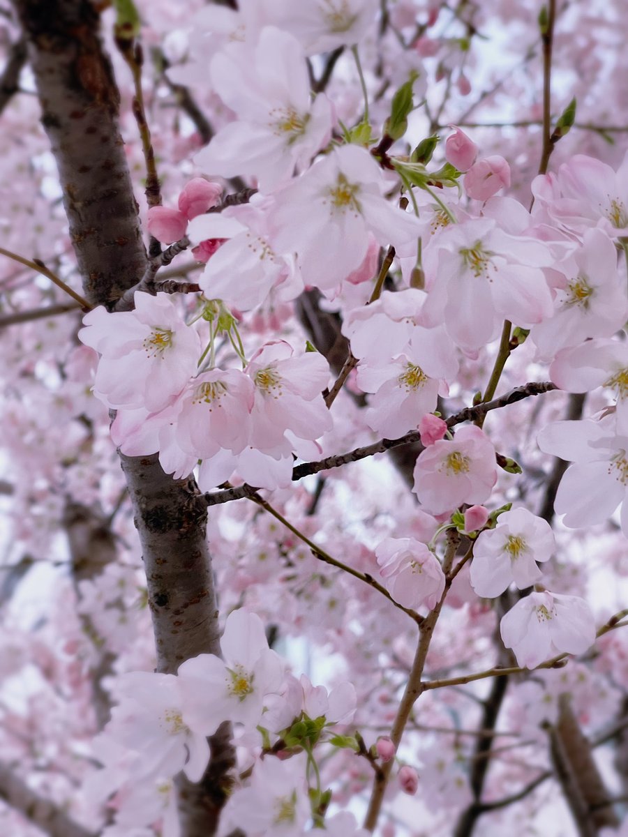 鷹宮リオン🦅 tweet media