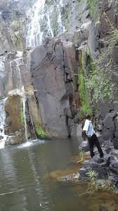 Historical Facts tweet media