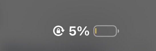 porcinitomagiko tweet media