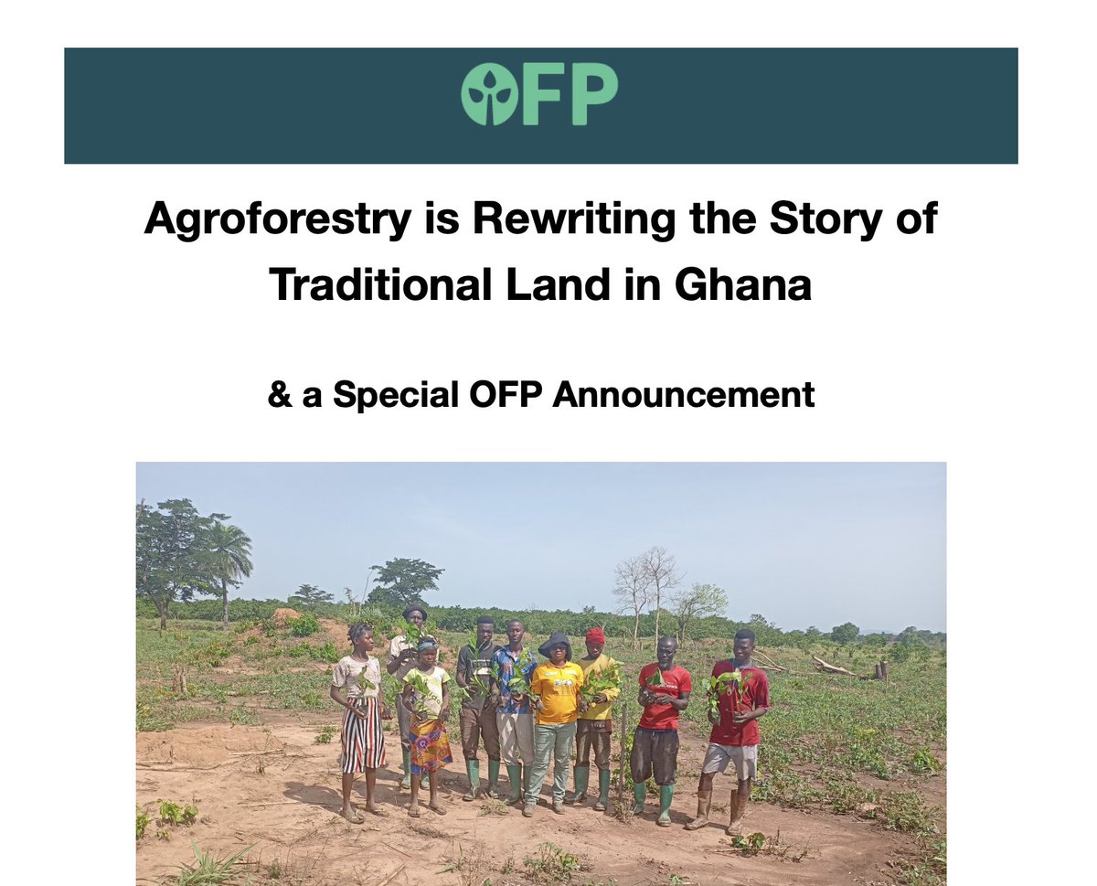 Open Forest Protocol (OFP) tweet media