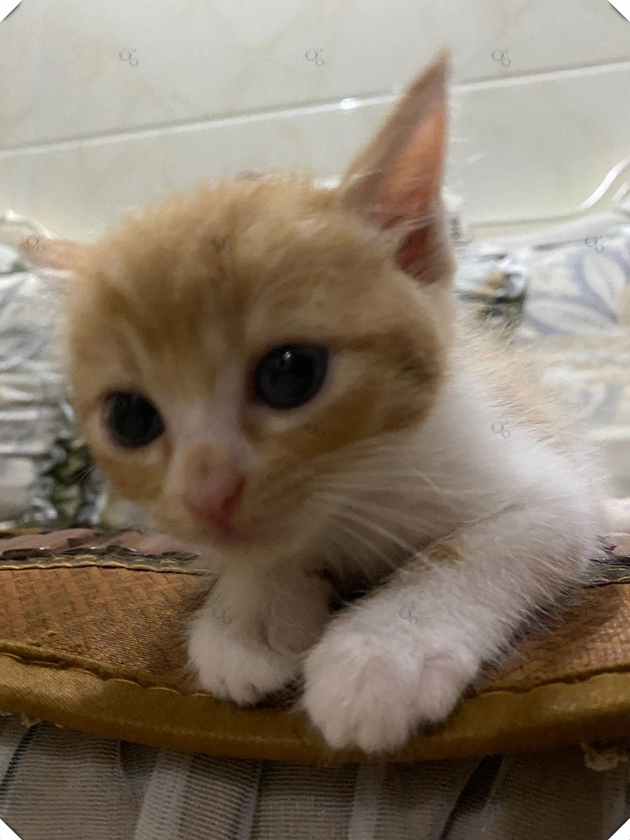 Cathy Sharpe tweet media