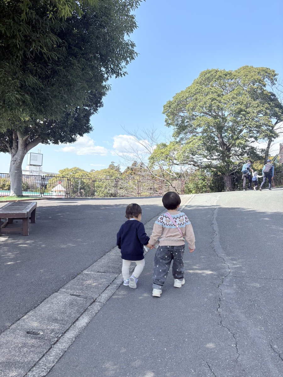 しなもん tweet media