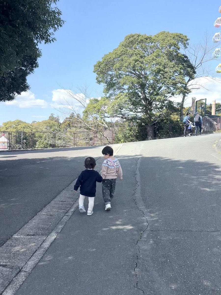 しなもん tweet media