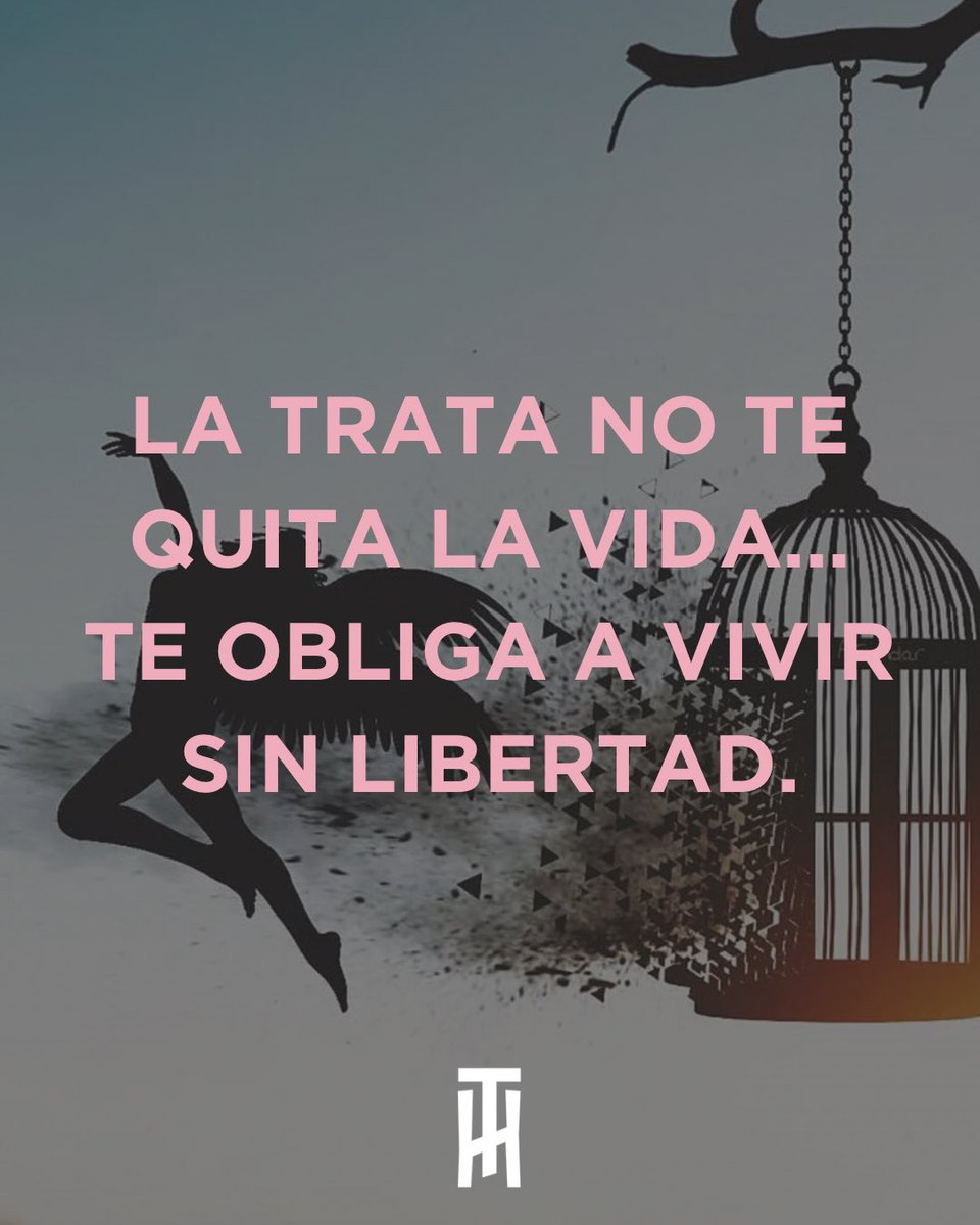 ANTHUS A.C. tweet media