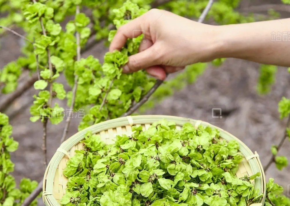 Chloe(互fo💯💯💯) tweet media