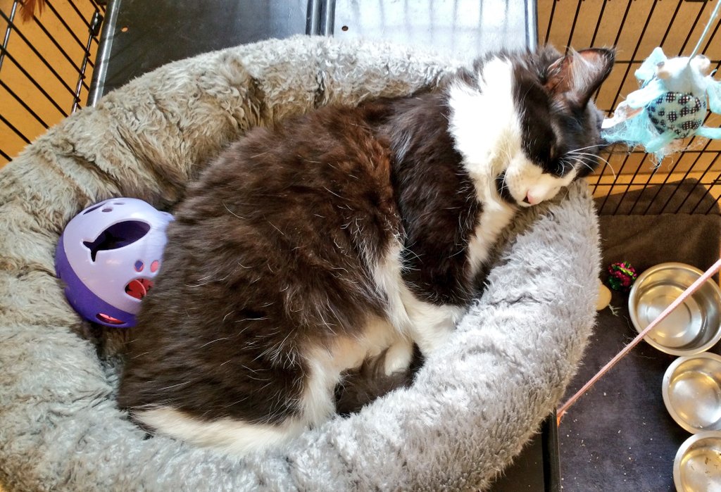 Ray Radlein tweet media