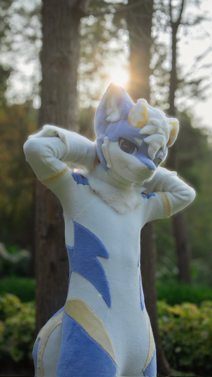 鱼骨忧太Hugo tweet media