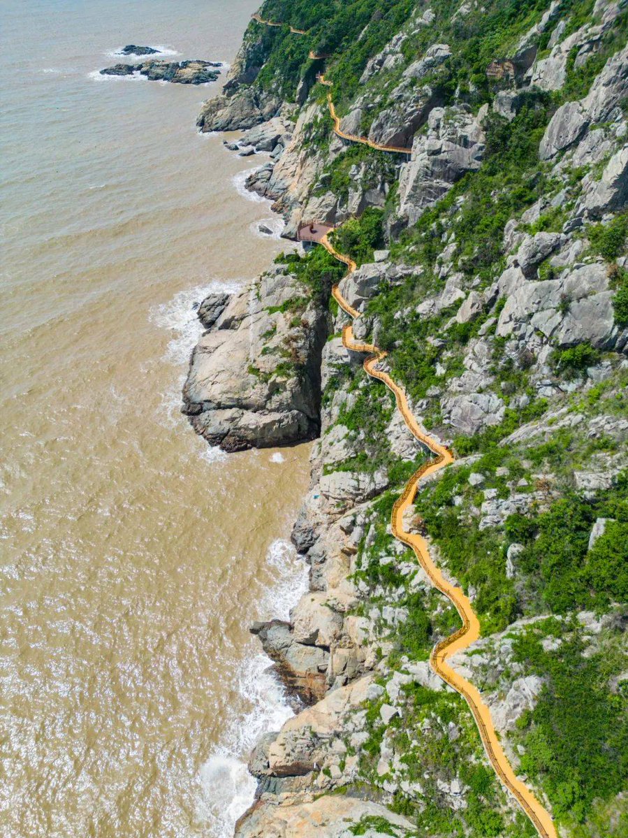 Francisco tweet media