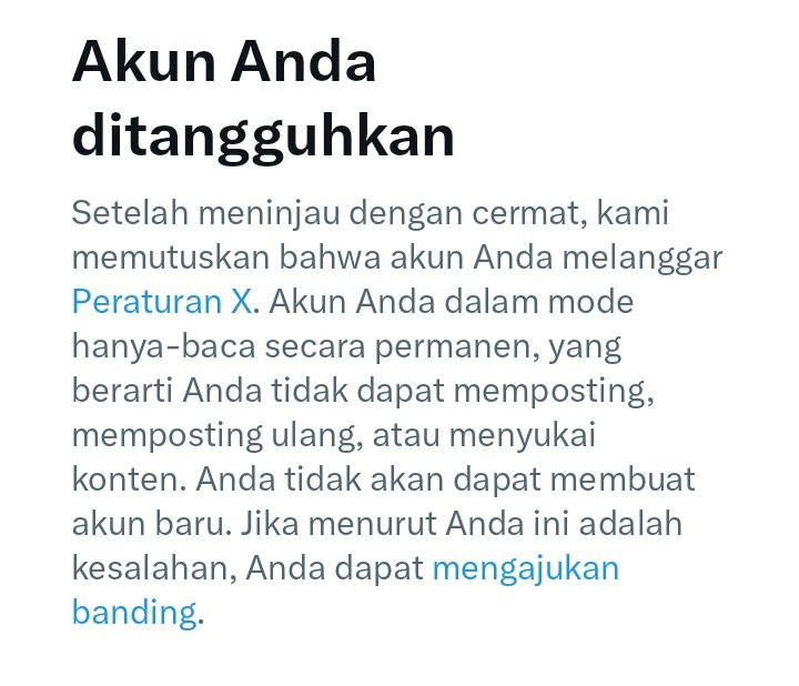 pipi 🐿️ tweet media