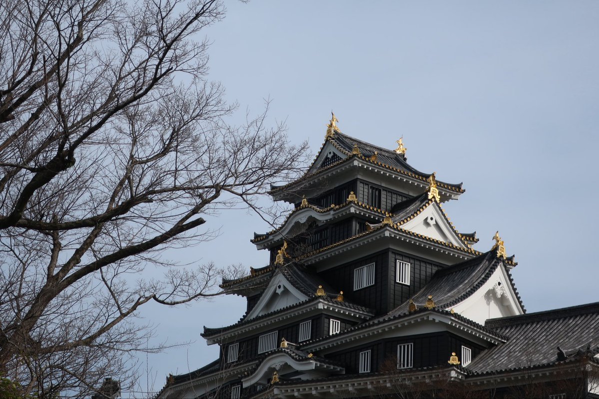 繝槭Φ繧ｿ*荳?譫‼️ tweet media