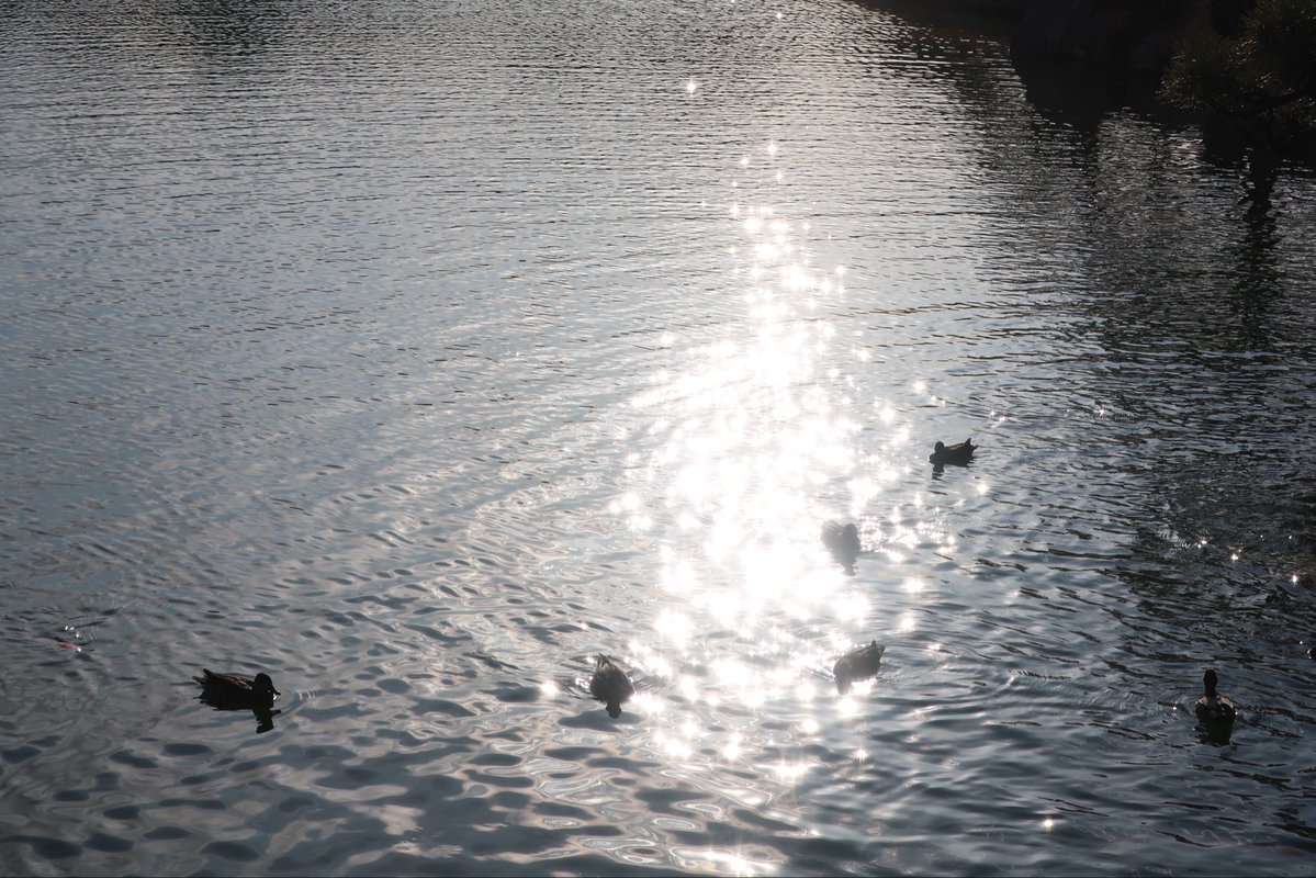 繝槭Φ繧ｿ*荳?譫‼️ tweet media