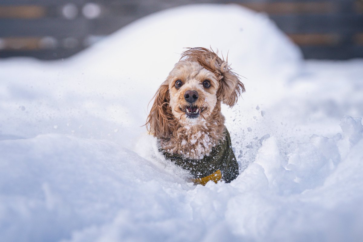 ソニーストア 銀座 tweet media