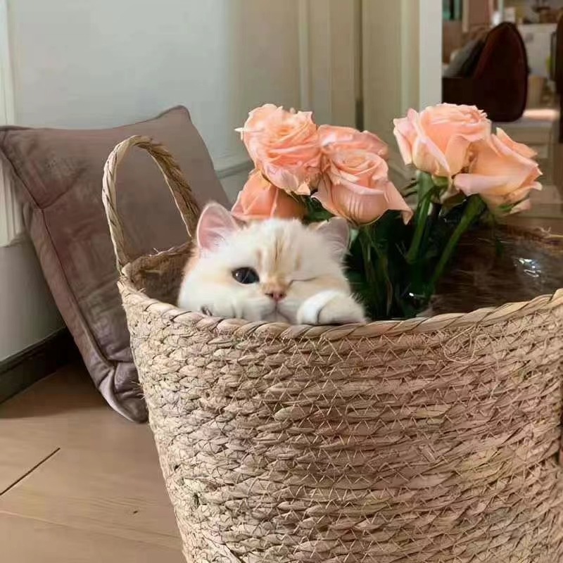 lisathackoor tweet media