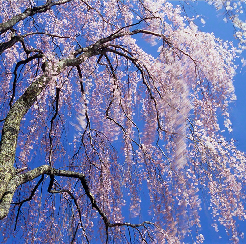 ㍿永利（ながとし）建設【公式】 tweet media