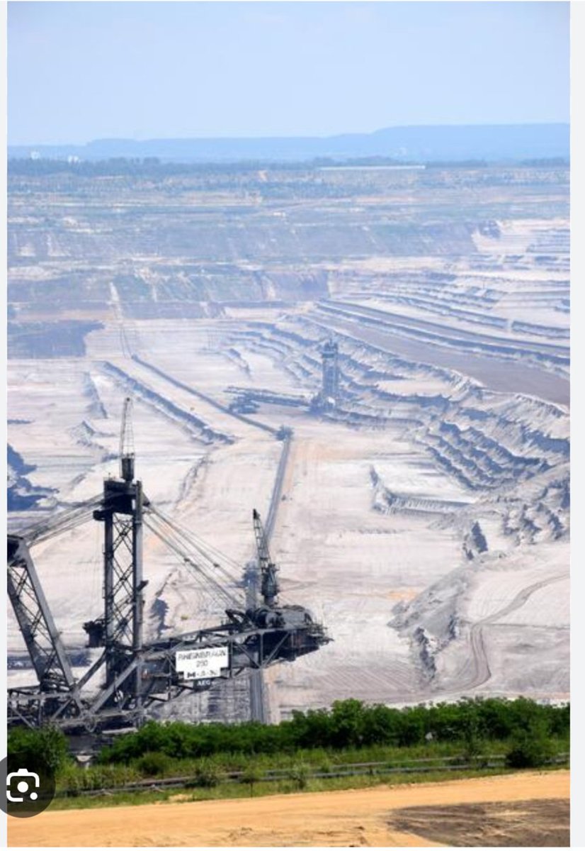 Omas Gegen Rechts Köln tweet media