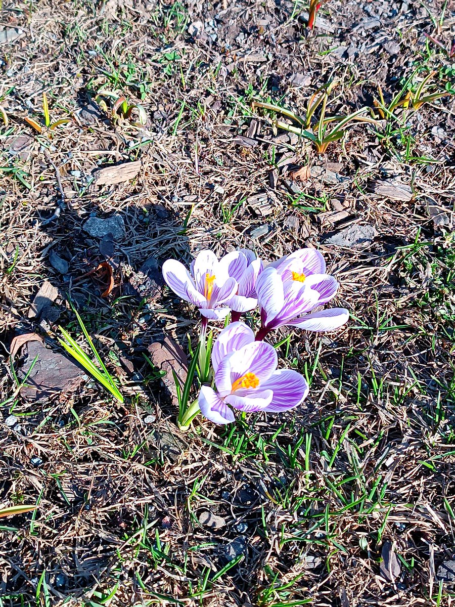 АкиNava tweet media