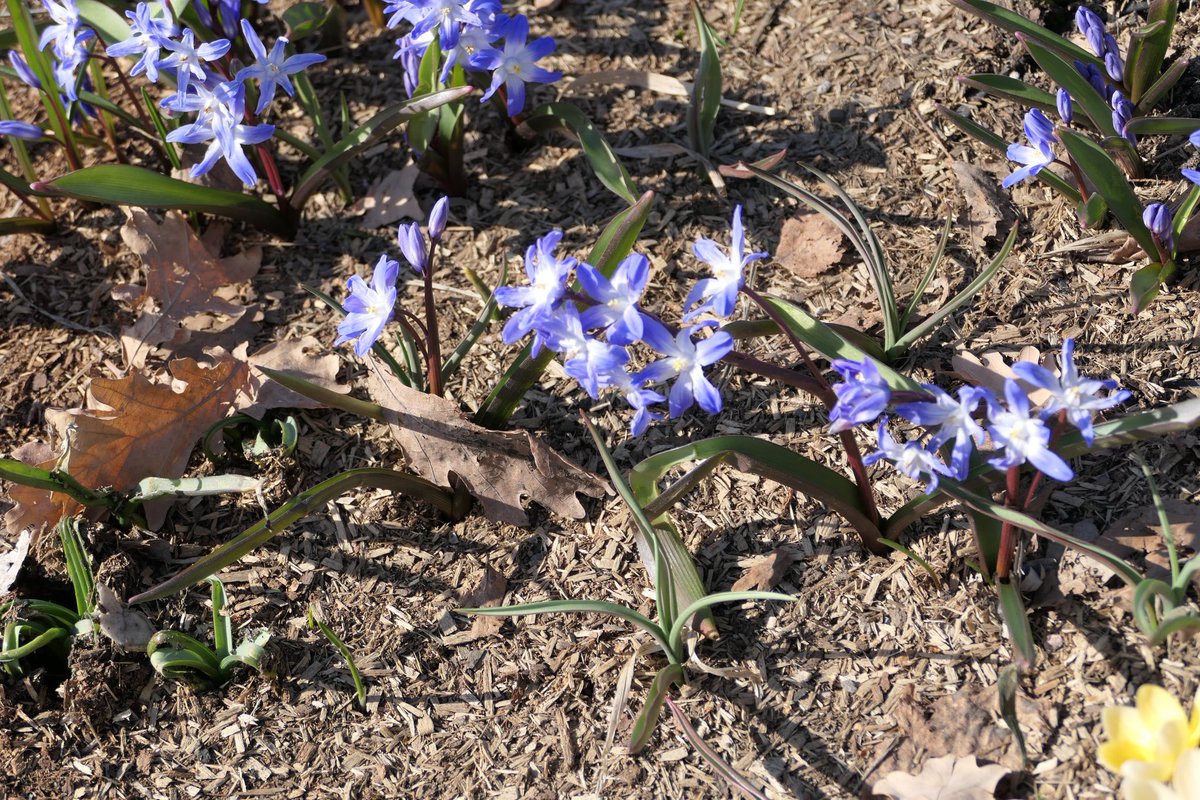 АкиNava tweet media