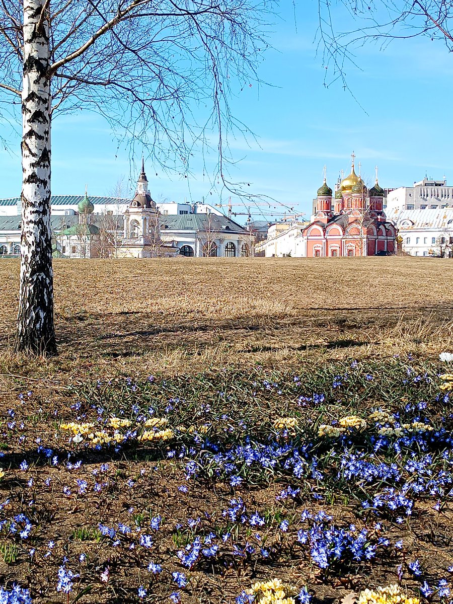 АкиNava tweet media