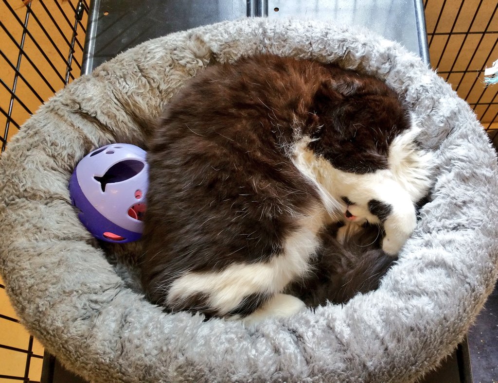 Ray Radlein tweet media