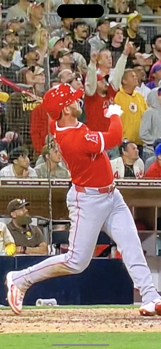 The Angels Suck tweet media