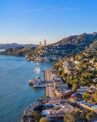 Likes-To-Fight-Guy tweet media