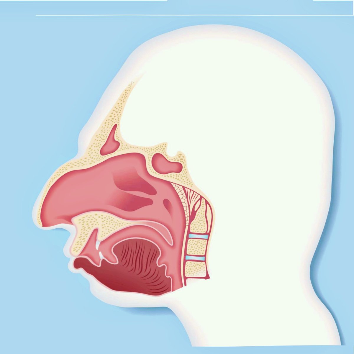 I hate you bitches tweet media