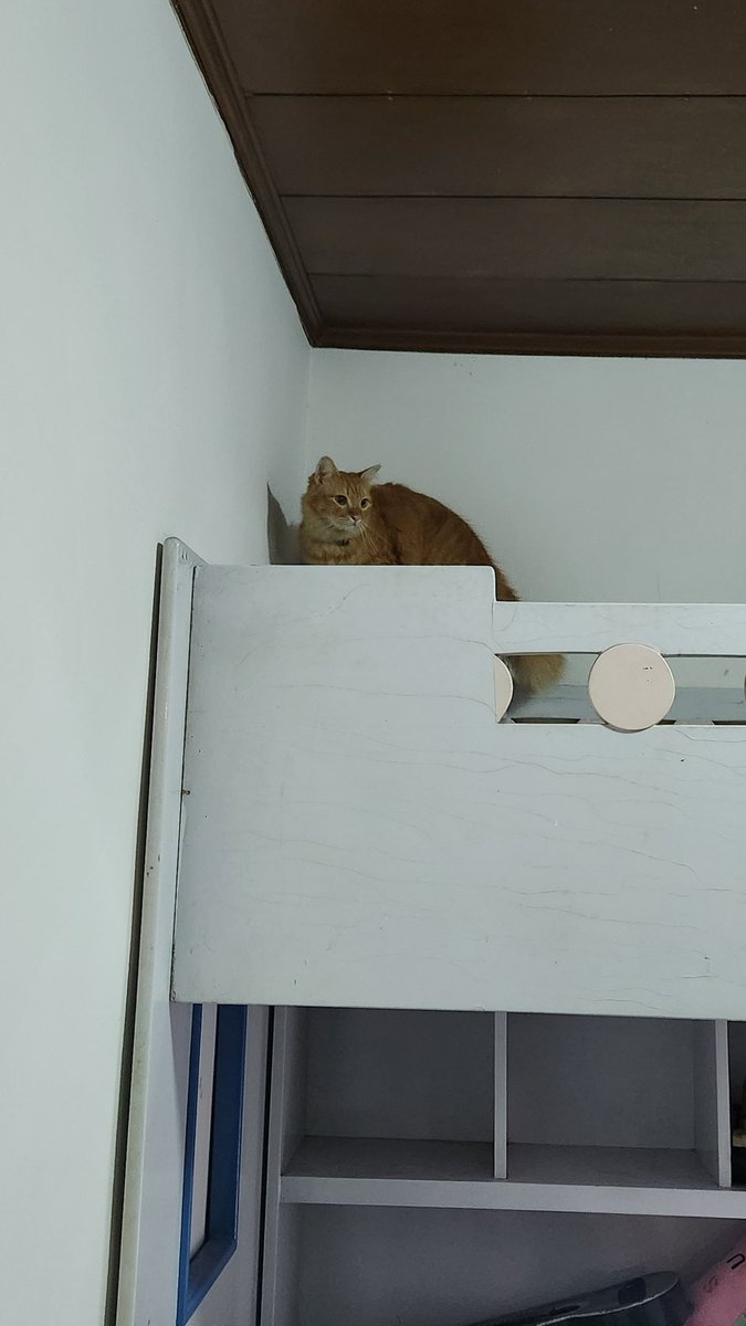 Blacyats tweet media