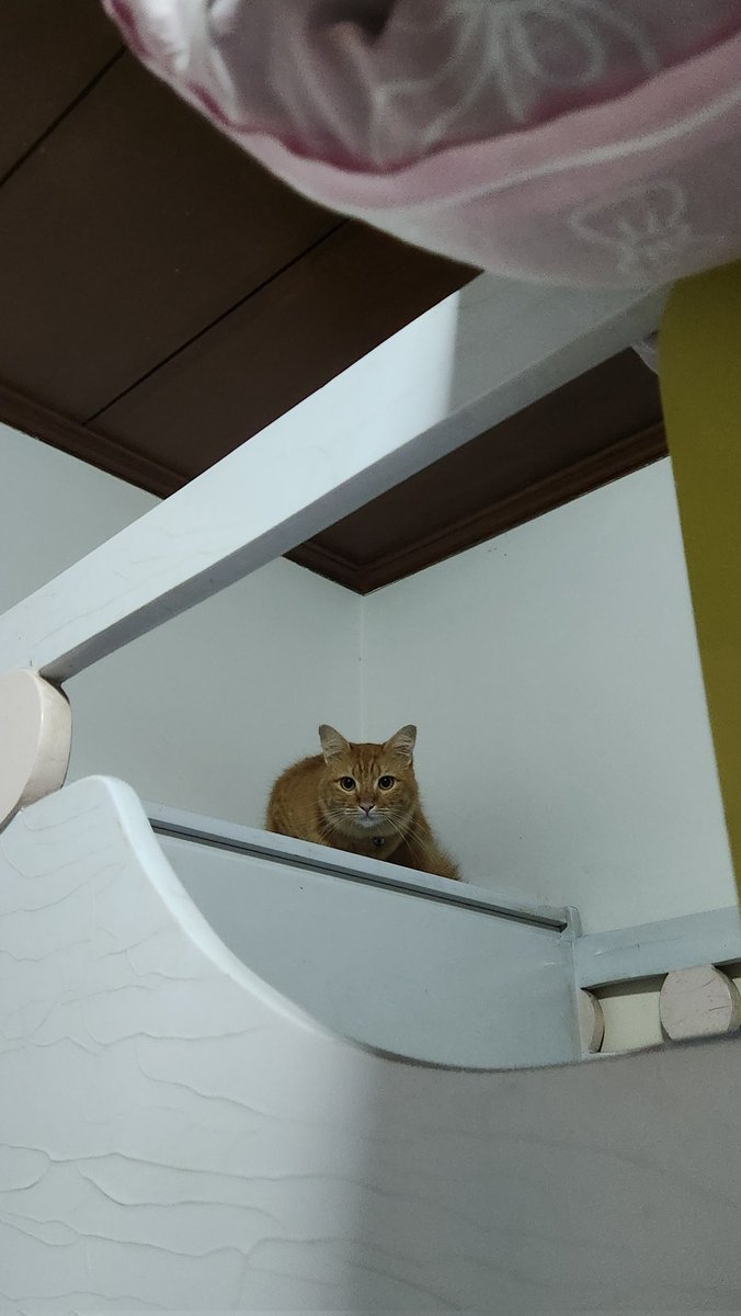 Blacyats tweet media