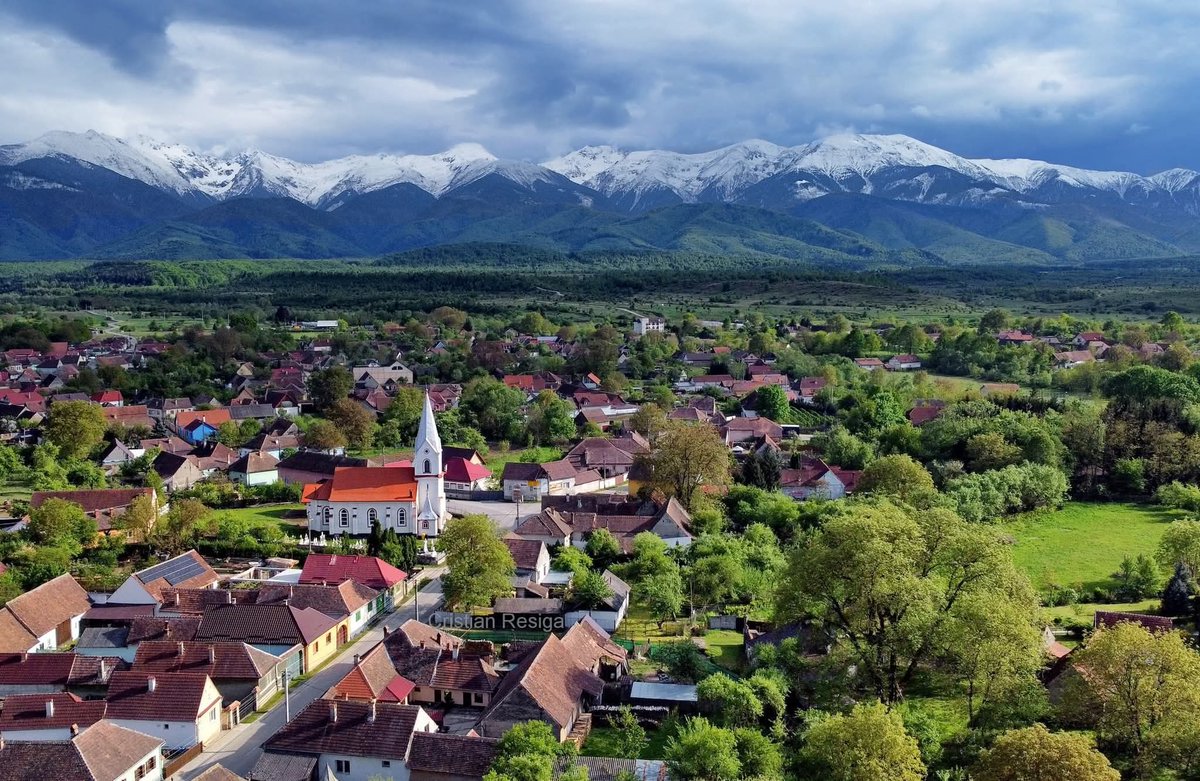 ₿alkan ₿adass tweet media