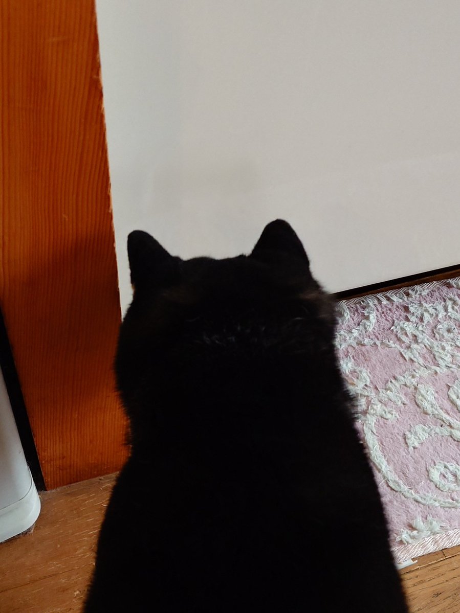 ㌐わんた tweet media