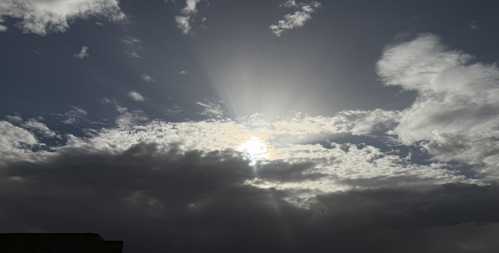 شروق tweet media