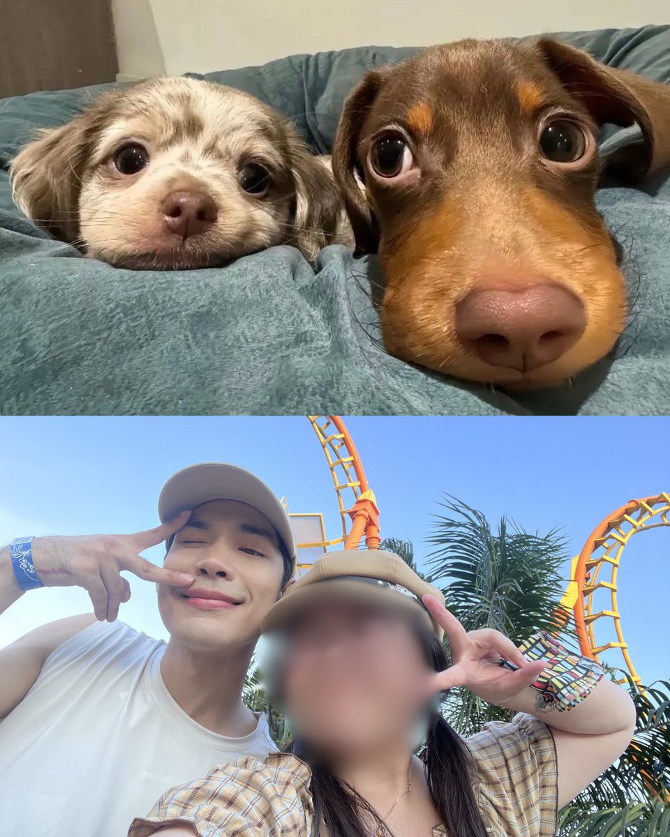 Jasmine’s ꕥ tweet media