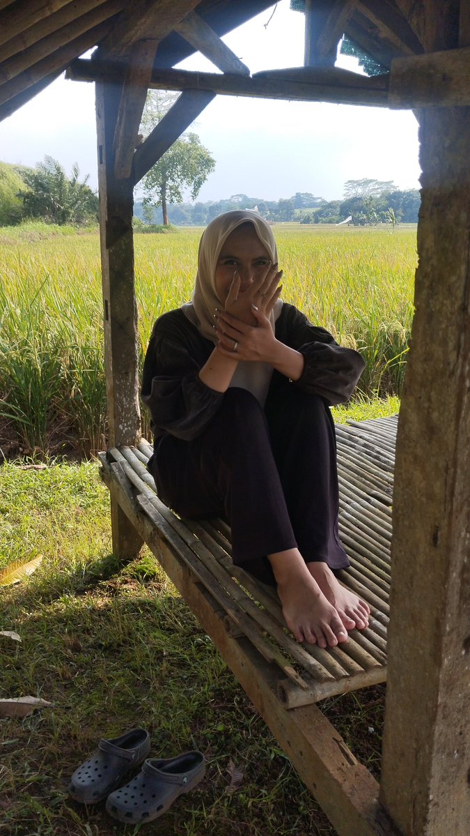 paldi anti judi tweet media