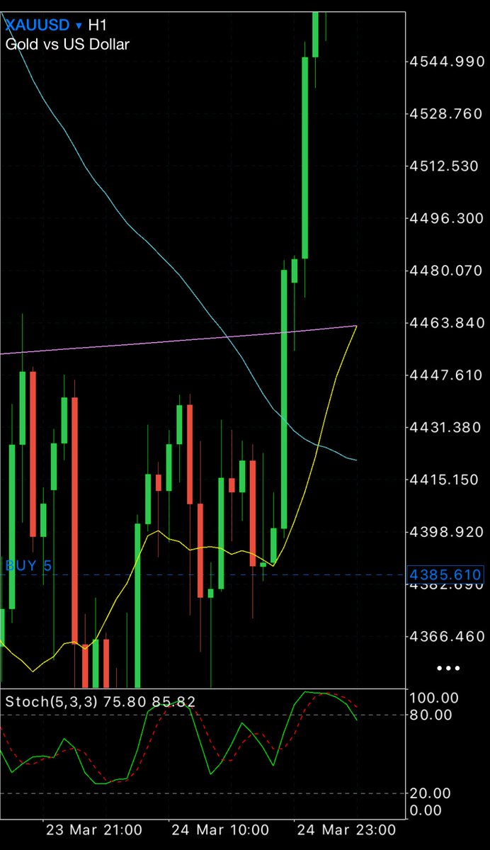 banyantic tweet media