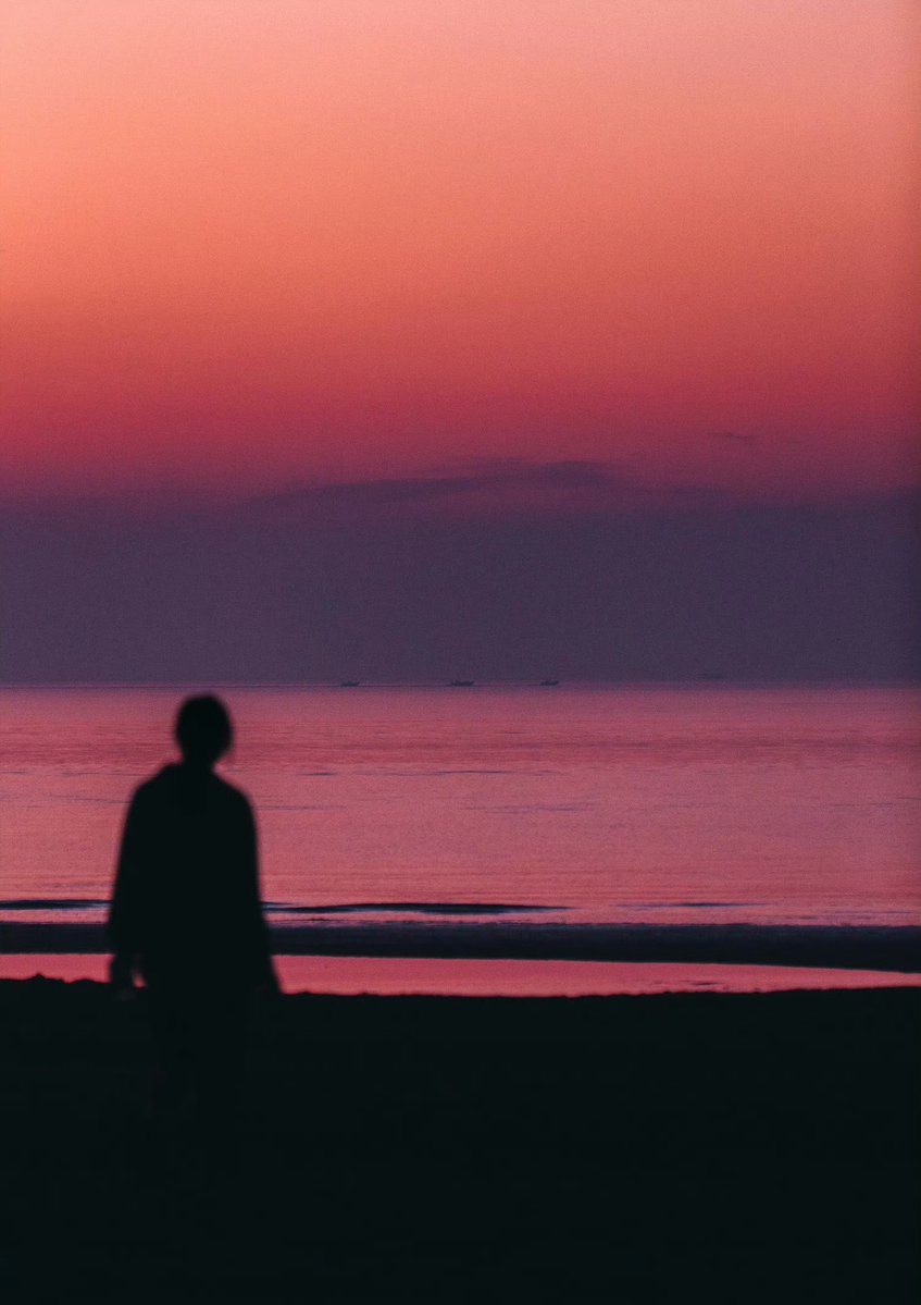 limousin tweet media