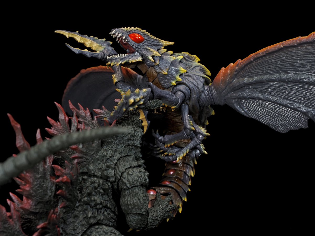 浅井 拓馬 Takuma Asai tweet media