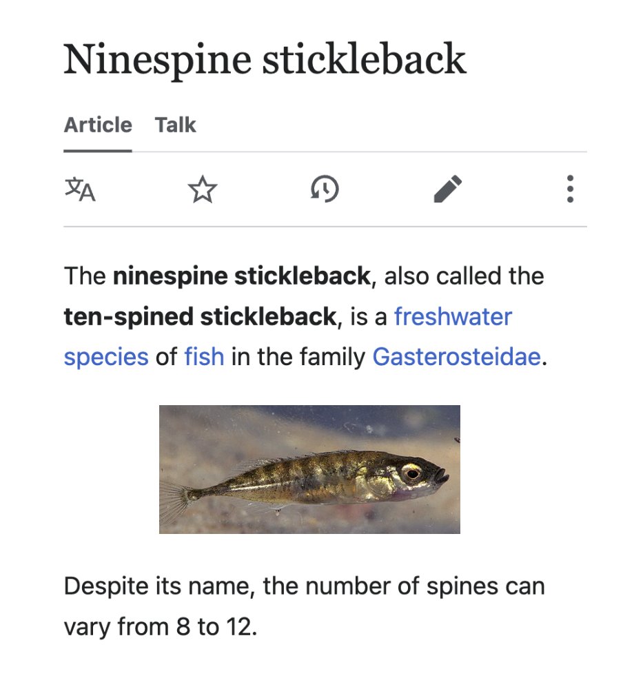 depths of wikipedia! tweet media