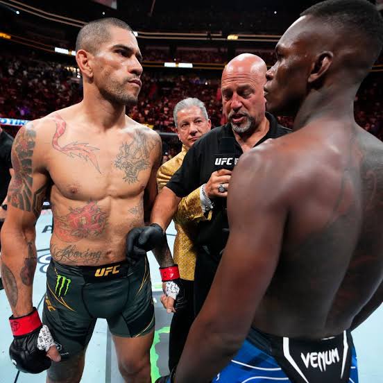 Kırmızı Köşe tweet media