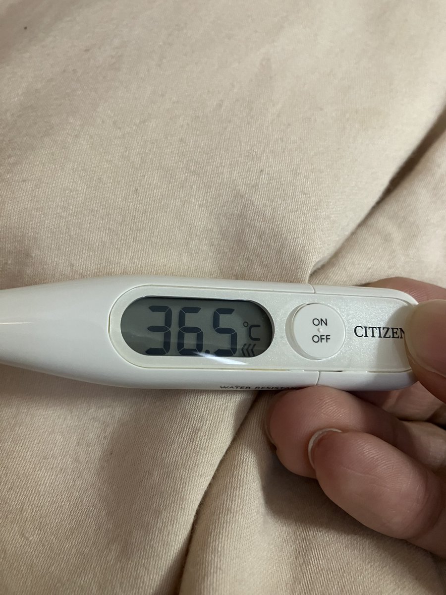 Shu スキー -3/29 tweet media