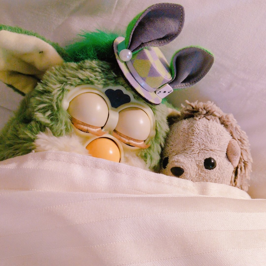 🦔新木場 針理💍 ̖́- tweet media