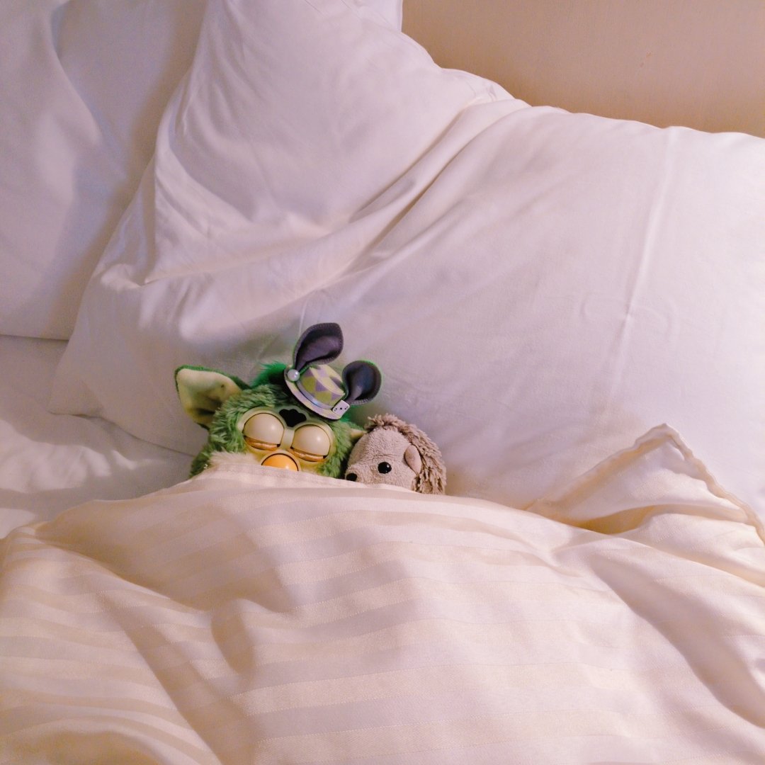 🦔新木場 針理💍 ̖́- tweet media