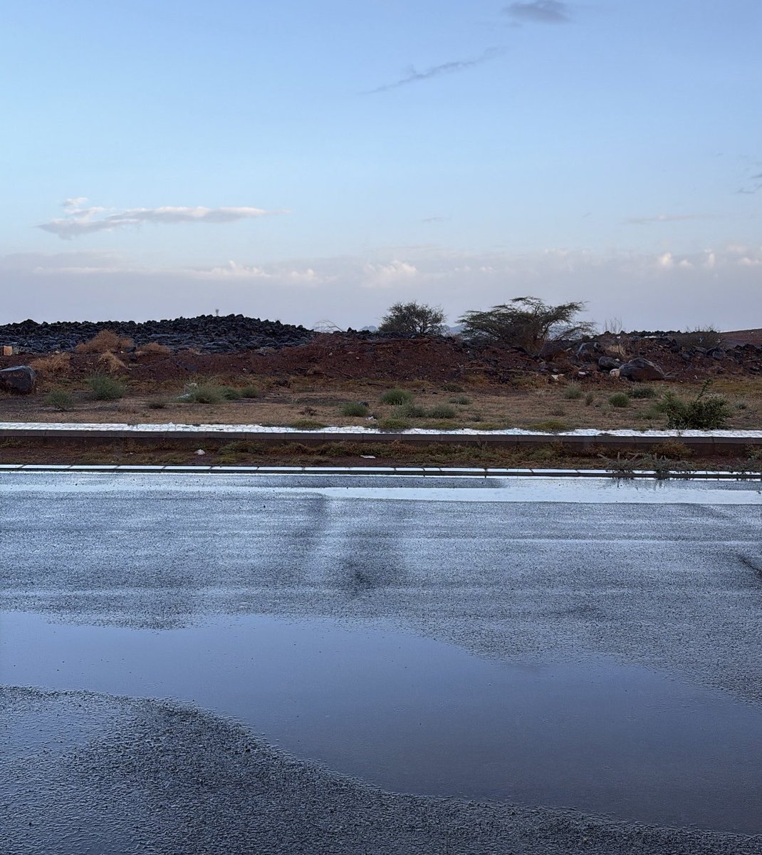 تهاني🥥 tweet media