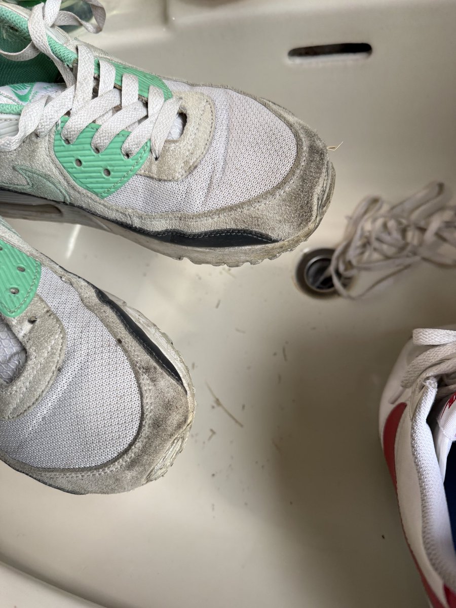 谷＋１。 tweet media