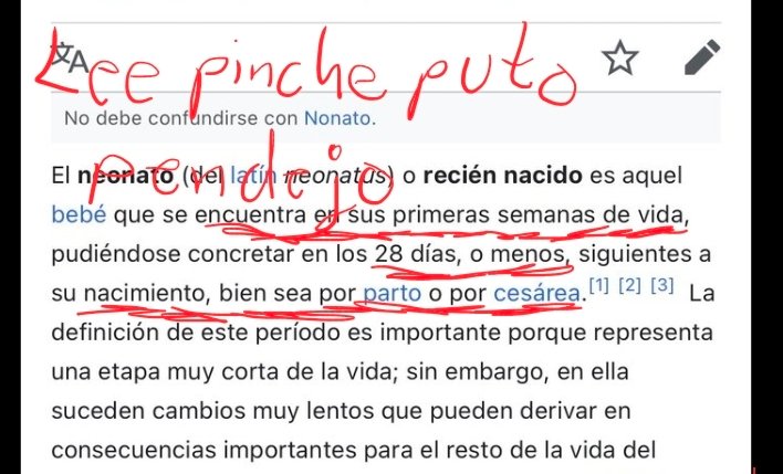 Blood Sucker Erzebeth tweet media