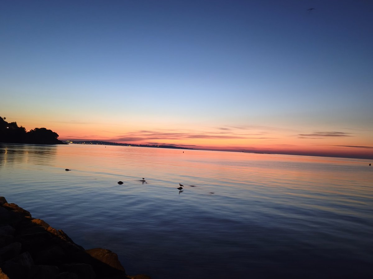 Michel de Cannes tweet media